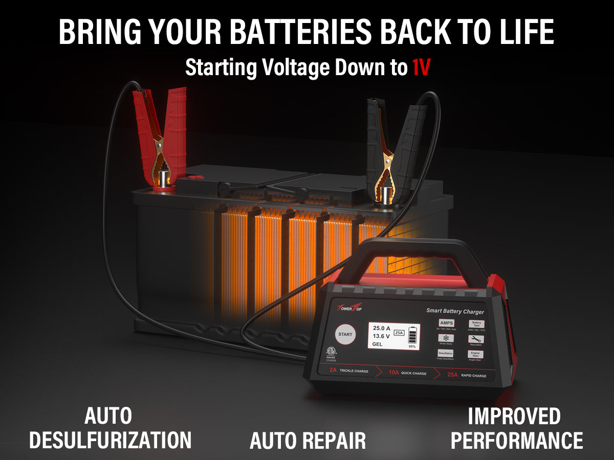 2/10/25A 12V  Battery Charger